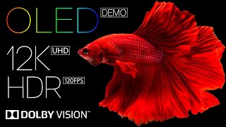 Ultimate Best 12K HDR 120fps OLED Dolby Vision Video for Eye Melting Quality [upl. by Nolaj]