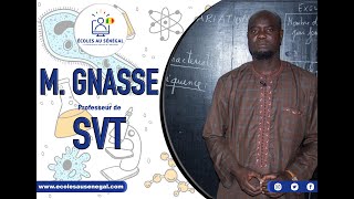 Cours  Terminale S1  SVT  La Transmission Synaptique  M Gnass [upl. by Ayin]