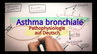 Asthma bronchiale Pathophysiologie [upl. by Alenairam]