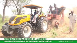 Mécanisation de la récolte de larachide au Sénégal ©AGRIPRO AFRICA [upl. by Iuq835]