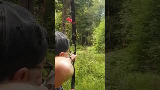 Bodnik Bowhunter Challenge UK  Extreme Shot Competition  Barebow Class [upl. by Ijnek281]