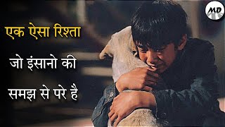 Hearty Paws Movie Explained In Hindi  A Heart Wrenching Film [upl. by Eisen701]