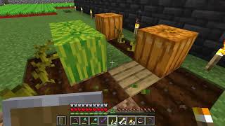 Glistering Melon Slice guide how to get this item  Minecraft 121 [upl. by Lorrayne]