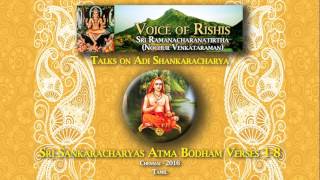 Sri Sankaracharyas Atma Bodham Verses Tamil [upl. by Ahseetal457]