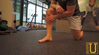 Tibialis Posterior  Kinetic U Mobility Series [upl. by Ahcsrop]