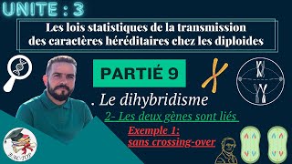 UNITÉ 3  Parti 9 le dihybridisme gènes liés  Crossingover  La distance  La carte factorielle [upl. by Arednaxela236]