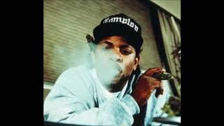 EazyE Interview  Being a Gangster Dr Dre and Snoop Dogg are Fakes [upl. by Tildi32]