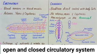 Open and closed circulatory system  circulatory system  class 11 [upl. by Fernald]