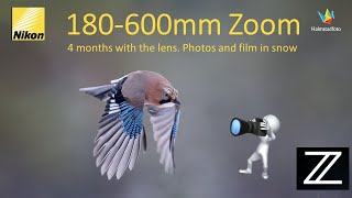 Nikon Z9 and Nikon 180600mm More than 4 months with the lens Follow me in my blind [upl. by Karel]