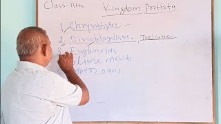 KingdomProtistapart1Class11th biologyJM Bio ClassesNCERT explanation Lecture 43 [upl. by Rebah]