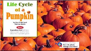 Life Cycle of a Pumpkin Nonfiction Read Aloud [upl. by Mosra]