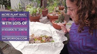 Succulent Mail Another unboxing video w Sucs for You [upl. by Brandy]