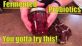 Easy beets recipe Lacto fermentation easy Nutrition probioticprobiotics [upl. by Mochun390]