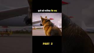 The dog remembers its owner part 2 shortvideo [upl. by Doane]