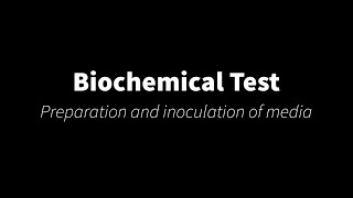 Biochemical Tests Preparation and inoculation of media [upl. by Aivul691]