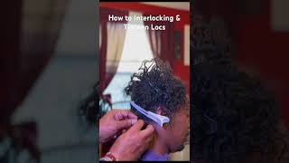 How to Interlock Locs Using the Y Technique dreadlocks interlockingdreadlocks [upl. by Heise]