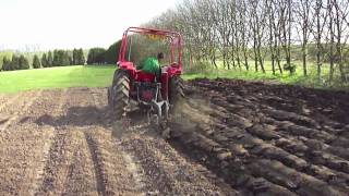 MF 135 Ploughing at Brooksby College [upl. by Ahsilak]