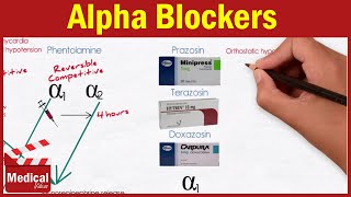 Pharmacology ANS 17 Alpha Blockers  Prazosin Terazosin Doxazosin Tamsulosin and Alfuzosin [upl. by Nylecoj]