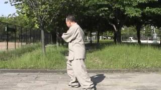 Yang jia mi chuan tai ji quan di yi duan cong hou mian [upl. by Namad342]