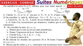 Suites Numériquesdémo par récurrence Suite géoSommeexpliciteAdjacente [upl. by Nalrah612]