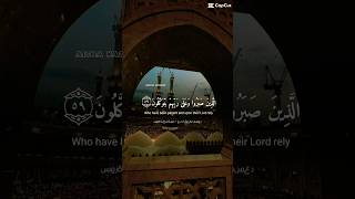 qurantilawathearttouchingvoice beautifulsurah [upl. by Feodore499]