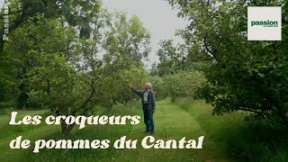 Les Croqueurs de pommes du Cantal  Documentaire [upl. by Gettings788]