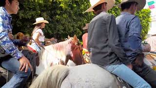 La mejor Fiesta de México el combate de Flores de Arandas Jalisco [upl. by Maurits657]