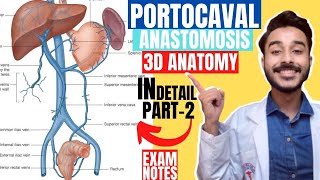 portocaval anastomosis anatomy 3d  portosystemic communications anatomy  portal vein anastomosis [upl. by Gettings]