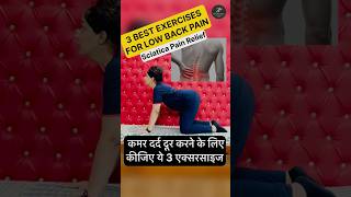 3 Exercises for Low Back Pain  Sciatica physiotherapy lowbackpainrelief sciaticapainrelief pain [upl. by Travis]