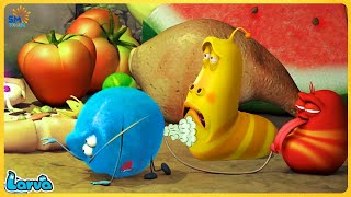 LARVA 2025 EXPENSIVE LESSON  TOP 50 EPISODE  CARTOON NEW VERSION  CARTOONS FOR LIFE [upl. by Bainter]