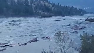 Lillooet Now Chilcoltin River Slide Debris Flows in Fraser River [upl. by Nanreit]