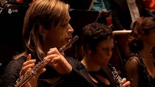 Janine Jansen  Brahms  Violin Concerto in D major  Haitink [upl. by Braswell]