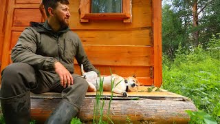 I live in a LOG CABIN with my BUSHCRAFT DOG Camping with red beast The history of a forest dog [upl. by Becki736]