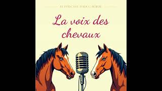 Équilibre émotionnel et physique  Aider son cheval à se sentir bien [upl. by Frankie]