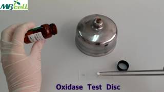 Oxidase Test Disc [upl. by Silvia627]