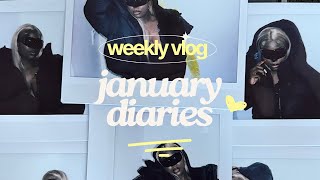 VLOG EPISODE 40 JANUARY DIARES cooking venting mothering [upl. by Ynned]