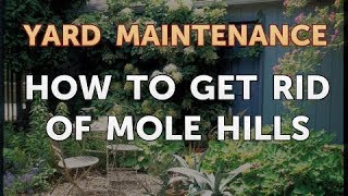 How to Get Rid of Mole Hills [upl. by Seymour925]