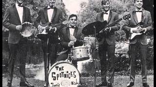 The Spotnicks  Drina 1964 [upl. by Stillman]