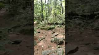 South Duchesnay Falls Trail [upl. by Kutchins]