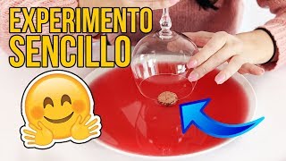 EL INCREÍBLE EXPERIMENTO SENCILLO QUE PUEDES HACER EN CASA [upl. by Onitnelav456]