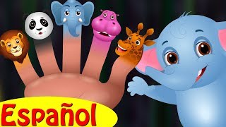 Familia Dedo Elefante Colección  Canciones infantiles en EspañolChuChu TV [upl. by Nalliuq]