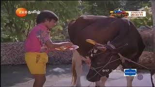 Naan Petradutha Pillai Simbu Gomatha songs TR hits [upl. by Irrol]