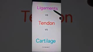 Difference between ligaments tendon and cartilage in bones [upl. by Silverstein740]