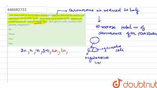 How many cells in the list given below are haploid Microspore mother cell vegetative cell of p [upl. by Kalb]