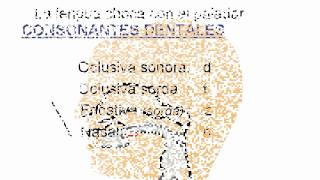 Fonética y Fonología del español El aparato fonador Diferencia entre sonido y signo [upl. by Filippa601]