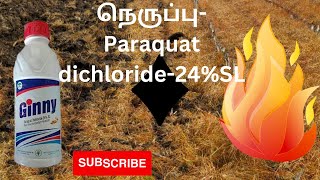 Paraquat Dichloride24SL அனைத்து களைகளின் எதிரி [upl. by Acirahs755]