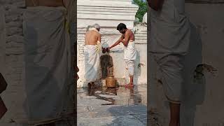 Kuja dosha nivanaku subramanya swami abhishekam [upl. by Anelhtac546]