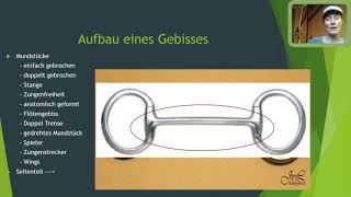 Gebisskunde Webinar Gebisswirkung und Funktion Ilka Stehn Vorstellung der BaucherSchenkeltrense [upl. by Larcher]