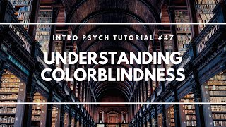 Understanding Colorblindness Intro Psych Tutorial 47 [upl. by Oriana732]