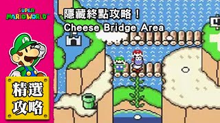 【超級瑪利歐世界】隱藏終點攻略｜Cheese Bridge Area [upl. by Beeson]